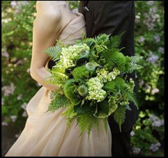 Serene Green