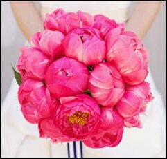Fuscia Florals