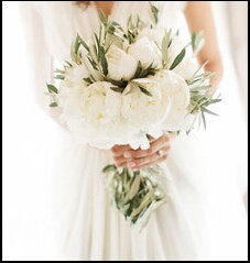 Ivory & White