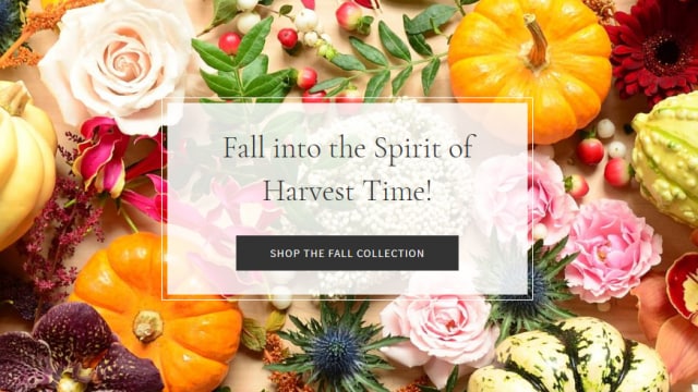 Fall Flowers