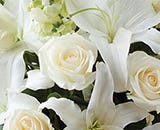  Scarletts Flowers Sympathy White