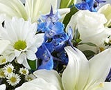  Scarletts Flowers Sympathy Blue and White