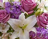  Scarletts Flowers Sympathy Lavender 