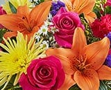  Scarletts Flowers Sympathy Bright