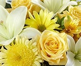  Scarletts Flowers Sympathy Yellow and White 