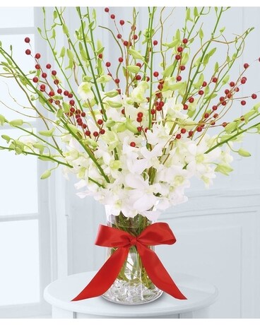 Christmas Orchids By Scarletts