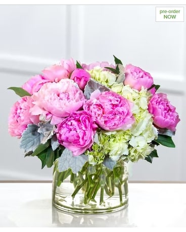 Scarlett's Peonies and Hydrangea Flower Arrangement