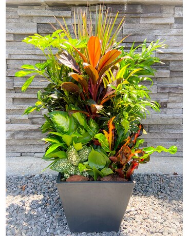 Outdoor Plant Garden Flower Arrangement