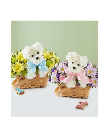 It’s a-DOG-able® Boy or Girl Flower Arrangement