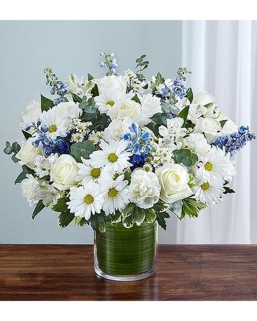 Cherished Memories Blue White Cherished Memories Blue White