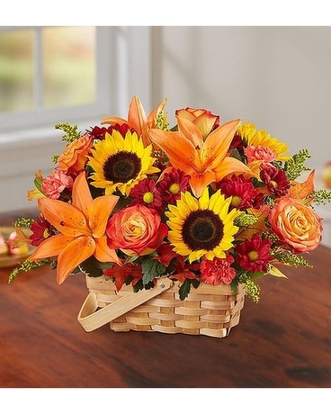 Scarlett's Flowers Fields of Europe Fall Basket Flower Arrangement