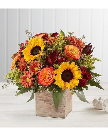 Scarlett's Flowers Harvest Glow Bouquet Flower Arrangement