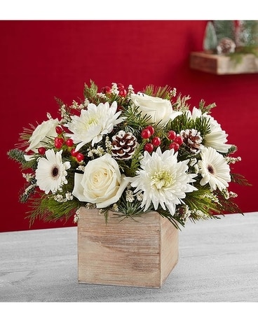 Scarlett's Flowers Festive Tidings Flower Arrangement
