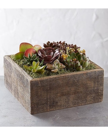Rustic Wooden Succulent Garden Flower Arrangement