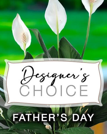 Father's Day Designer's Choice Flower Arrangement