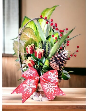 Christmas Dish Garden Flower Arrangement