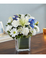 (⃔ *`꒳´ * )⃕↝  Healing Tears™ Red, White & Blue from 1-800-Flowers.com