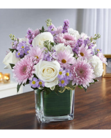 【特別送料無料！】 Lavender Tears™ Healing & Scarlett's - FL Bradenton in White 和楽器