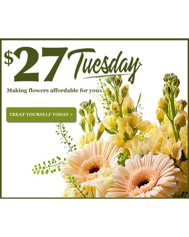 $27 Tuesday Flower Arrangement