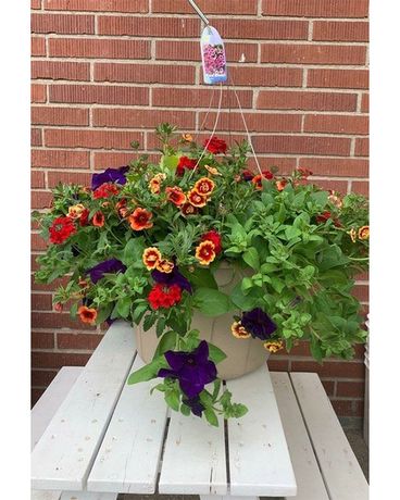 18 Inch Hanging Basket in Toppenish WA - Alice's Country Rose Floral