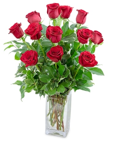 Classic Dozen Roses (Choose Your Color) Flower Arrangement