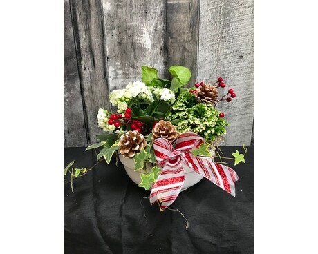 Christmas Dish Garden Flower Arrangement