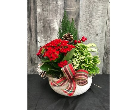 Holiday Dish Garden Flower Arrangement