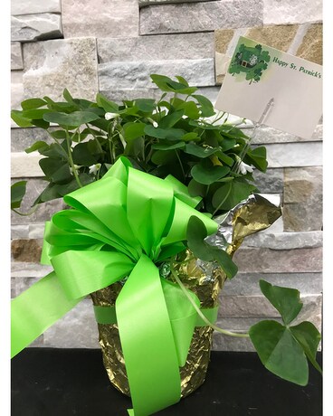 Shamrocks Flower Arrangement