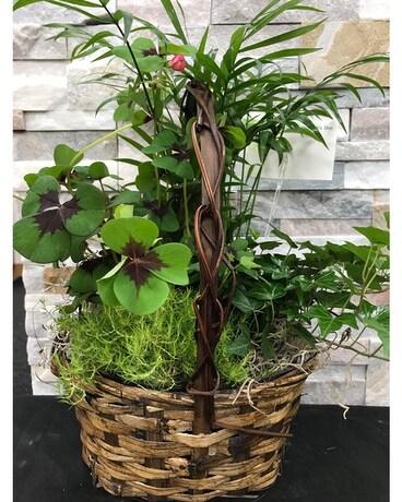 St. Patrick's Garden Flower Arrangement
