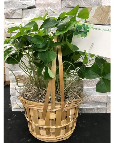Shamrock Basket Flower Arrangement