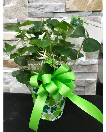 Small Shamrock Flower Arrangement