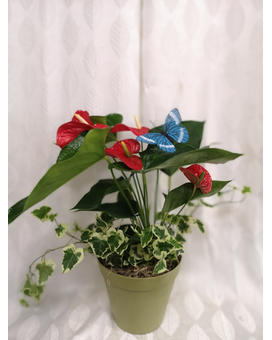 Mix plants Flower Arrangement