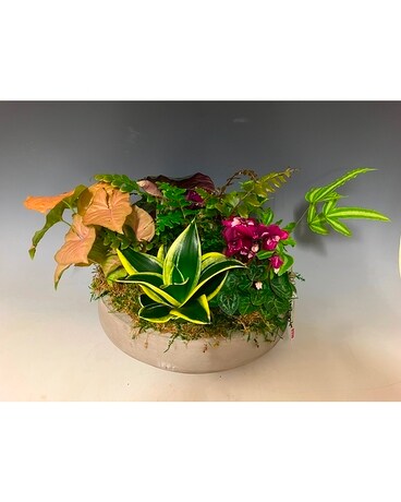 Cement Garden Planter Plant