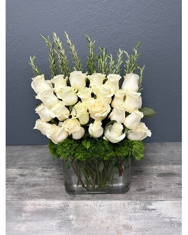 Roses Aligned