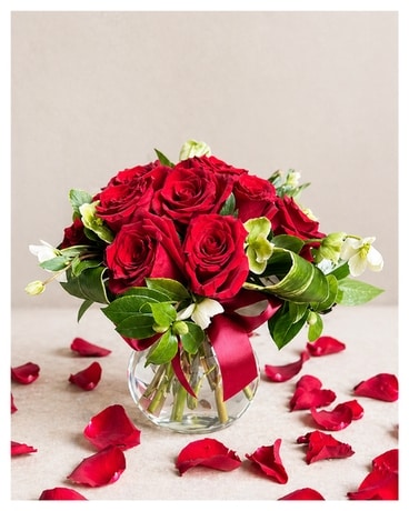 Modern Dozen Red Roses in Kirkland WA - Fena Flowers, Inc.