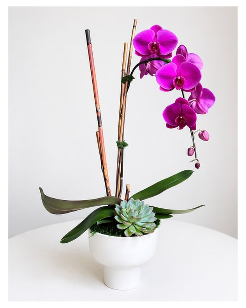 Sympathy Plants in Kirkland, WA | Fena Flowers, Inc.