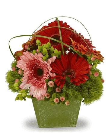Wrapped in Love Vase Arrangement Flower Arrangement