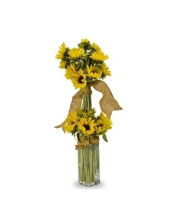 Stylish Sunflowers Vase Arrangement Flower Arrangement