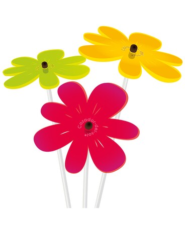 Cazador-del-sol Nea Colorful Bouquet of Flowers Gifts