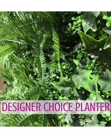 Designer's Choice Dishgarden Plant