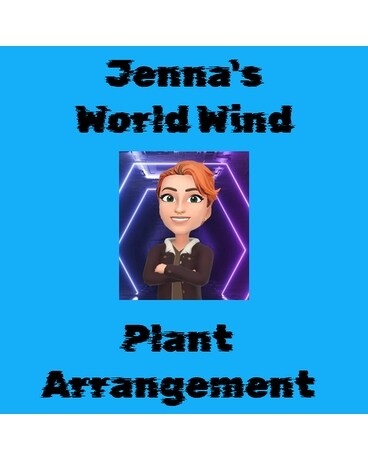 Jenna's WORLD WIND Plant Arrangement Plant