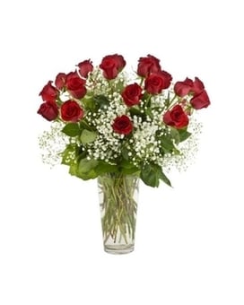 Double Classic Dozen size,  inches height and  inches wide.