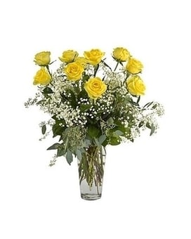Yellow Dozen~ Classic size,  inches height and  inches wide.