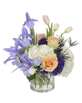Upward Beauty Vase Arrangement size,  inches height and  inches wide.