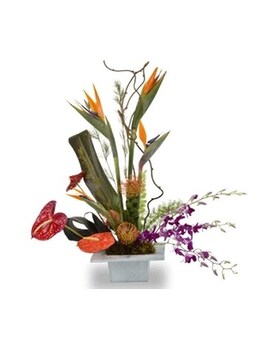Tropical Paradise Vase Arrangement size,  inches height and  inches wide.