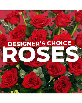 Classic Dozen Rose Arrangement size,  inches height and  inches wide.