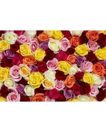 Fresh Wrapped Arrangement Rose Specialty Arrangement