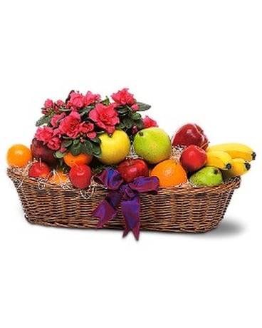 Plant and Fruit Basket Gift Basket