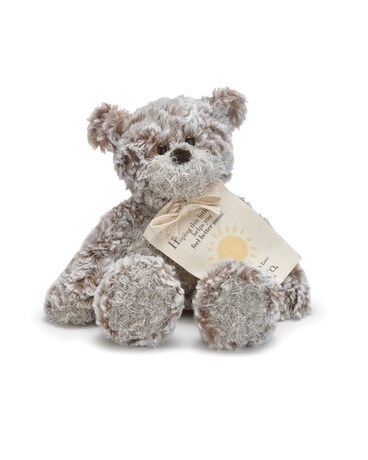 Giving Bear - Moon and Back Gifts