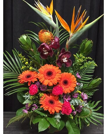 Tropical Birds & Protea Flower Arrangement